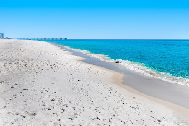 water view featuring a beach view