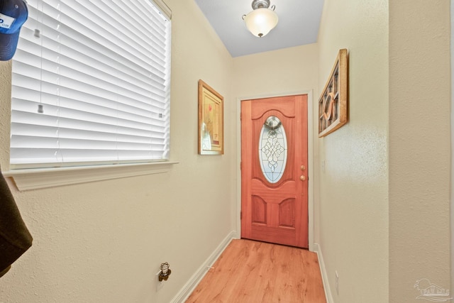 doorway featuring a wealth of natural light and light wood-type flooring