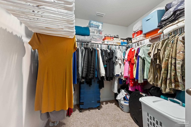 4616 Honor Guard Way, Crestview, FL 32539 - spacious closet with carpet flooring