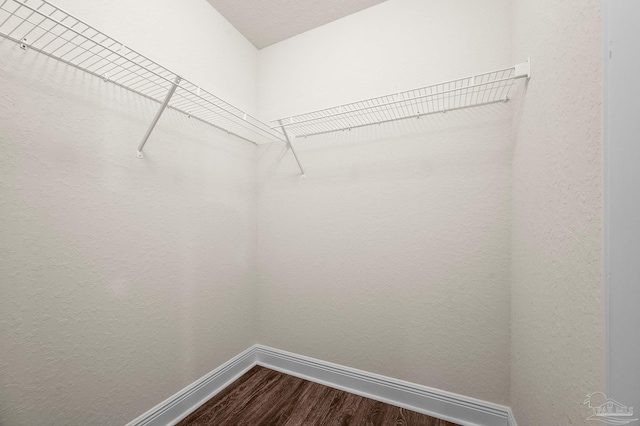 spacious closet with dark wood-type flooring