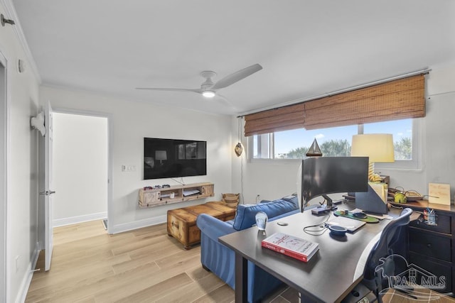 home office with ceiling fan, light wood-type flooring, and crown molding