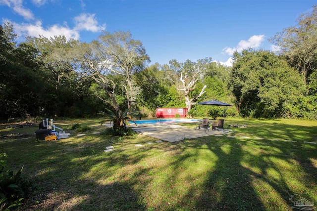 view of yard featuring a patio