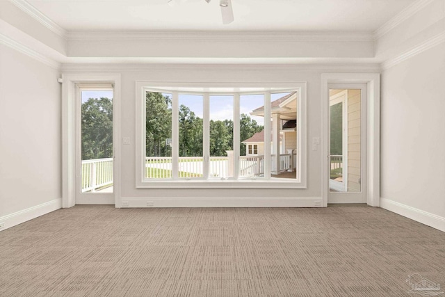 carpeted spare room featuring ornamental molding