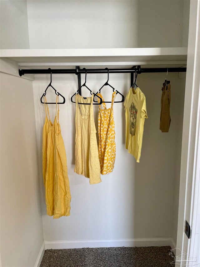 view of closet