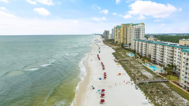 water view featuring a beach view