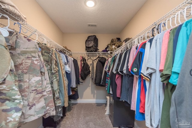 spacious closet with carpet flooring