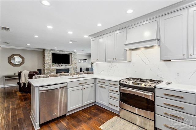 kitchen with stainless steel appliances, tasteful backsplash, sink, premium range hood, and kitchen peninsula