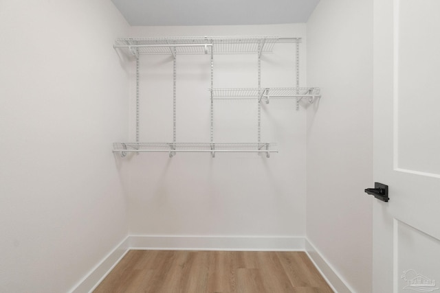 walk in closet featuring light wood-style flooring