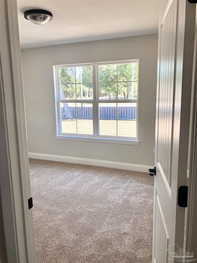 spare room with carpet and a healthy amount of sunlight