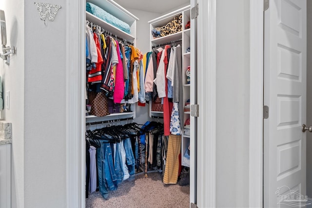 5323 Red Shoulder Rd, Pace, FL 32571 - spacious closet with carpet floors