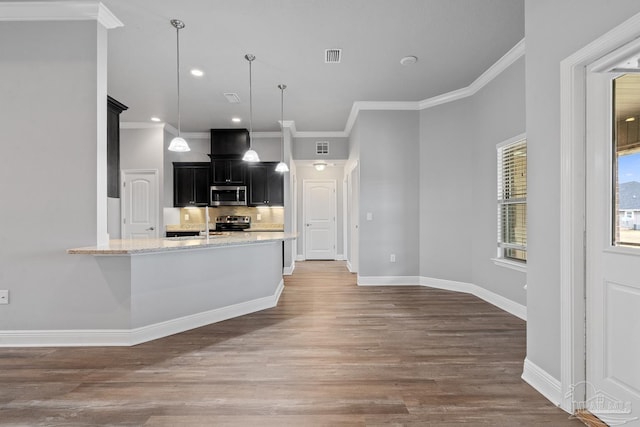 kitchen with pendant lighting, backsplash, stainless steel appliances, light stone countertops, and dark hardwood / wood-style flooring