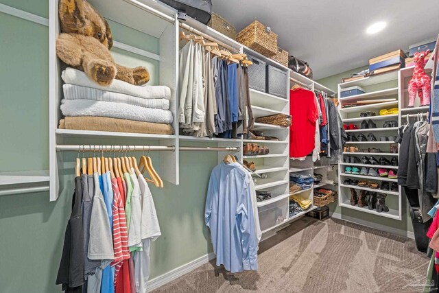 35868 Boykin Blvd, Lillian, AL 36549 - walk in closet with carpet