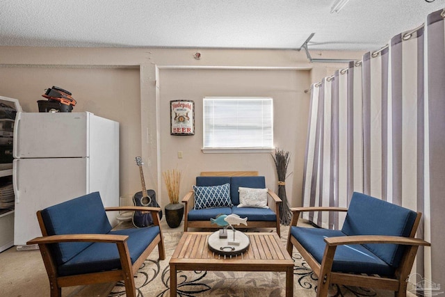 35868 Boykin Blvd, Lillian, AL 36549 - sitting room with a textured ceiling