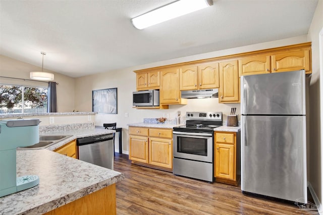 kitchen featuring appliances with stainless steel finishes, vaulted ceiling, dark hardwood / wood-style floors, sink, and decorative light fixtures