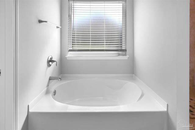 bathroom with a bathing tub