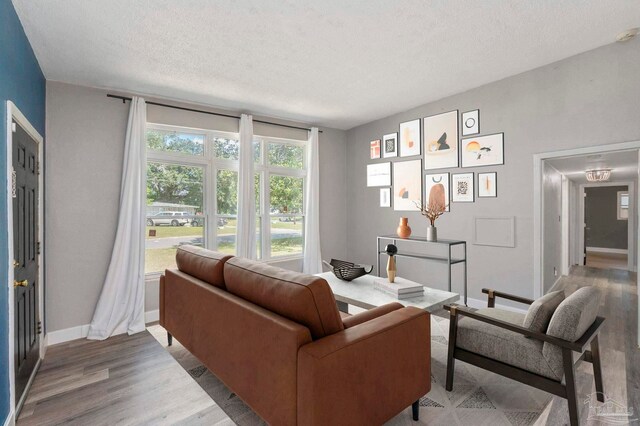 living room featuring wood-type flooring and a textured ceiling