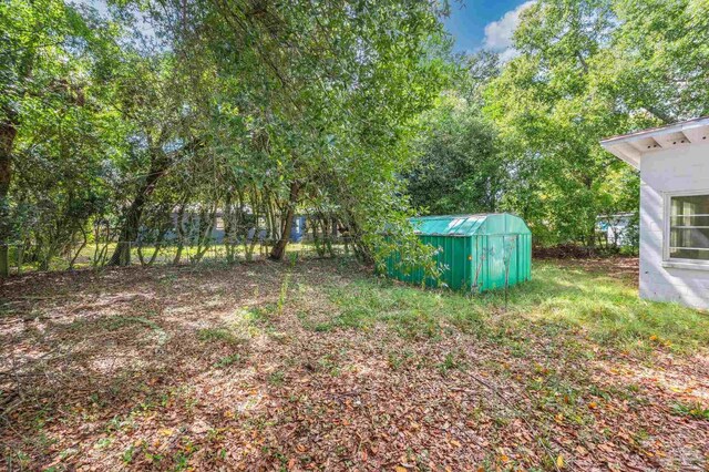 view of yard with a storage unit