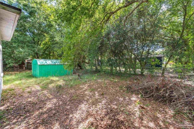 view of yard with a shed