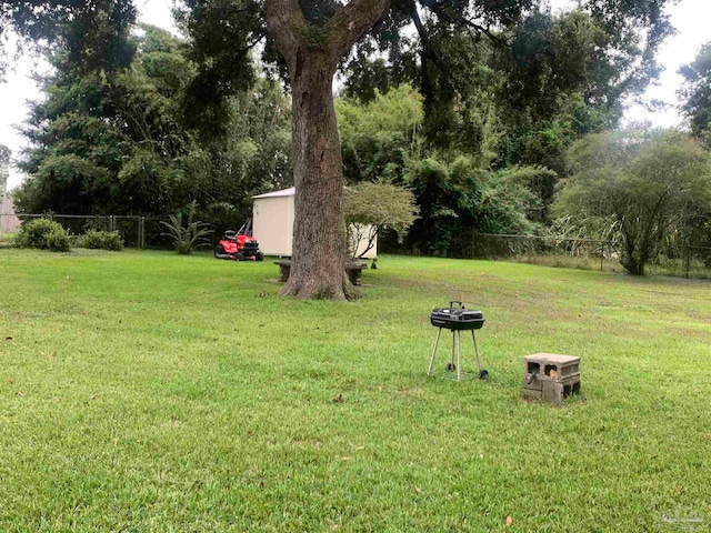 view of yard featuring a shed