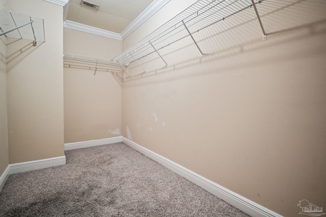 spacious closet with carpet flooring