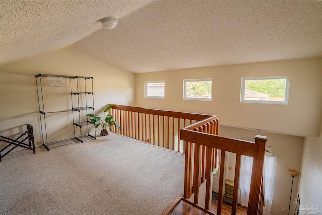 additional living space with lofted ceiling, carpet, and a textured ceiling