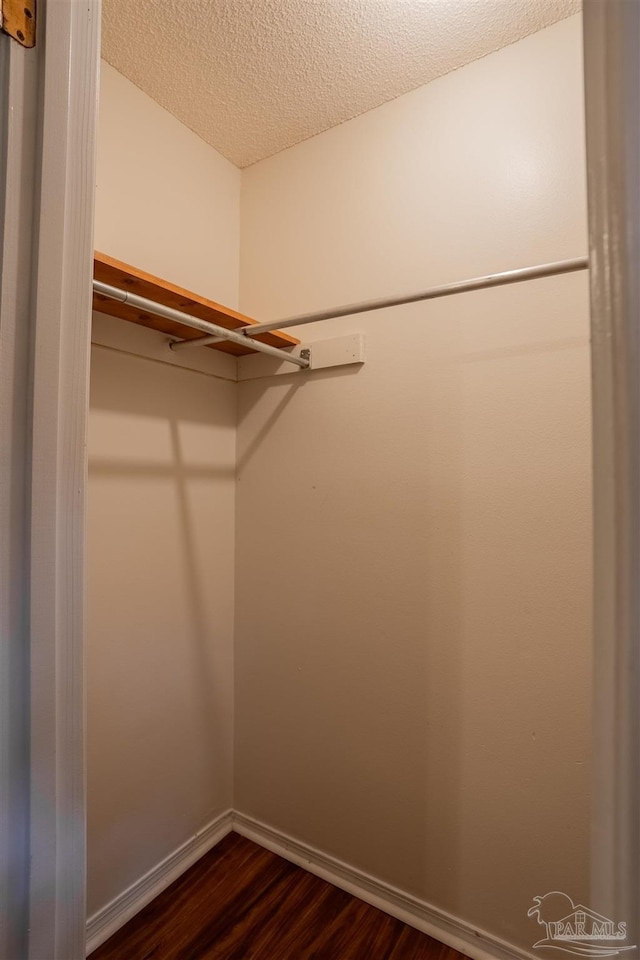 spacious closet featuring dark wood finished floors