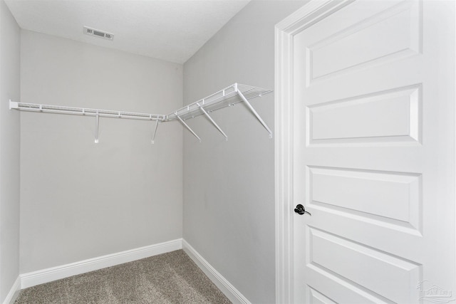 walk in closet with carpet floors