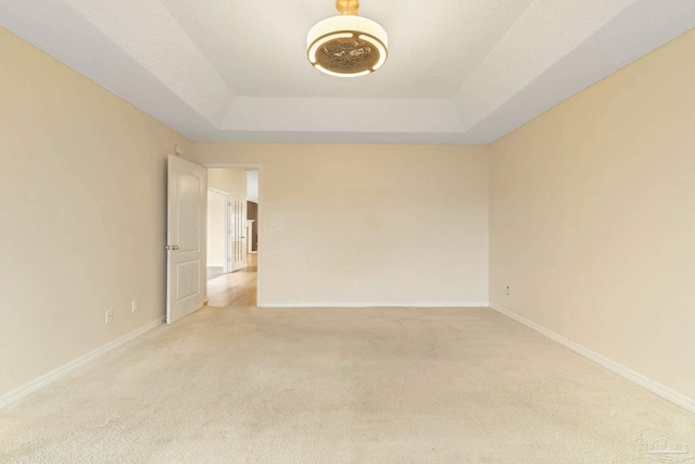 spare room featuring a raised ceiling and light carpet