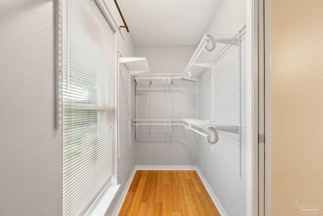 walk in closet with hardwood / wood-style floors