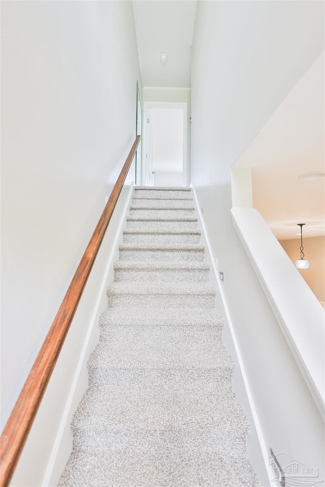 stairway featuring carpet flooring