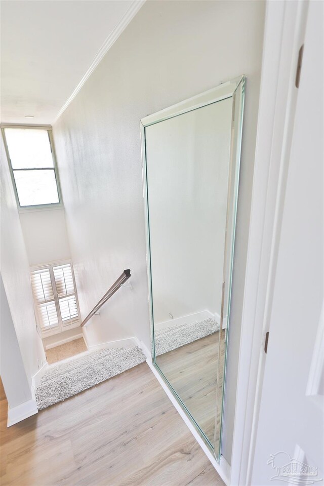 bathroom featuring hardwood / wood-style flooring, plenty of natural light, and crown molding