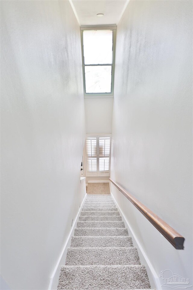 stairway with carpet floors