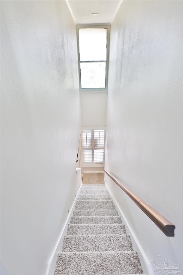 stairs featuring plenty of natural light and carpet