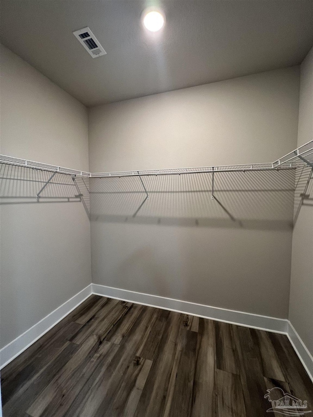 spacious closet featuring dark hardwood / wood-style flooring