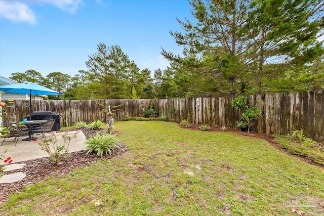 view of yard with a patio area