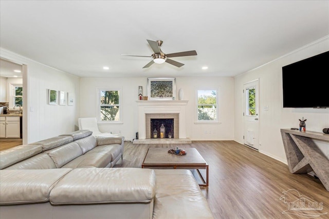 living room featuring ceiling fan, a healthy amount of sunlight, ornamental molding, and hardwood / wood-style flooring