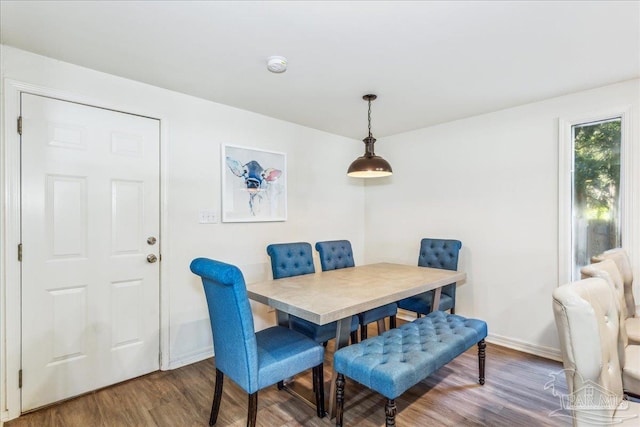 dining room with wood-type flooring