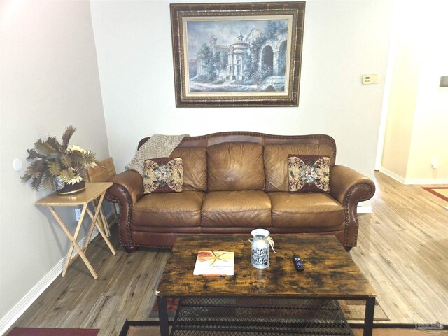 5358 Jenny Cir, Pace, FL 32571 - living room featuring wood finished floors