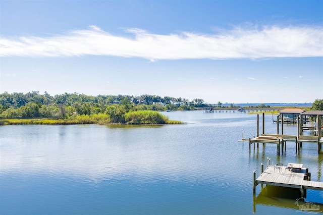 dock area featuring boat lift and a water view