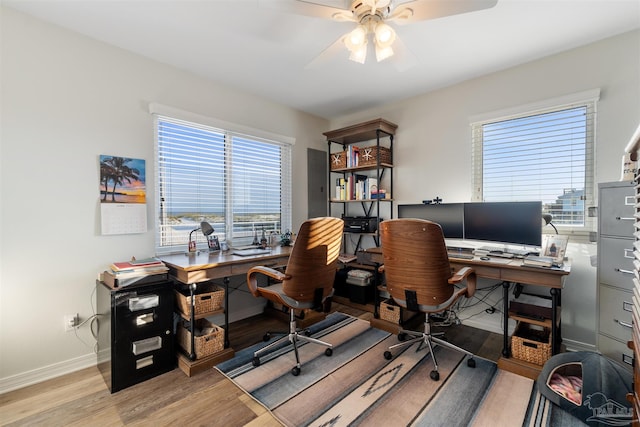 office space featuring ceiling fan and light hardwood / wood-style floors