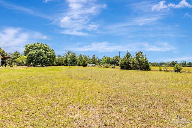 10449 Bernice Rd, Milton, FL 32583 - view of yard with a rural view