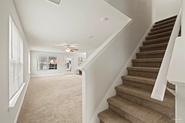 stairway featuring ceiling fan and carpet floors