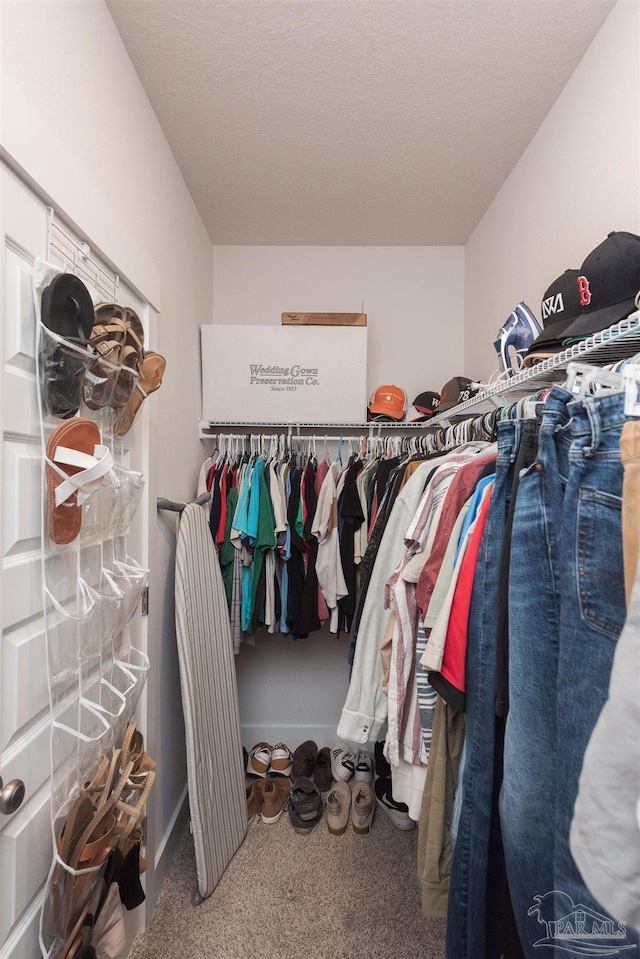 spacious closet featuring carpet floors