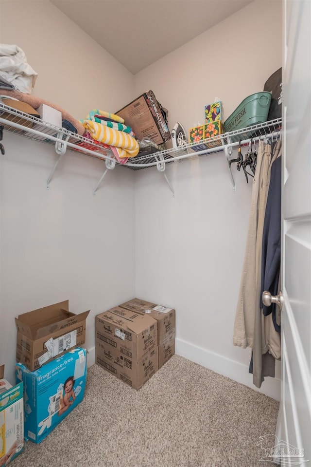 spacious closet with carpet flooring