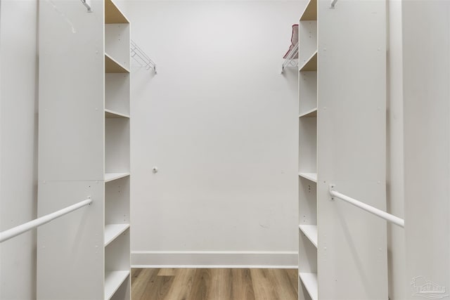 walk in closet featuring hardwood / wood-style flooring