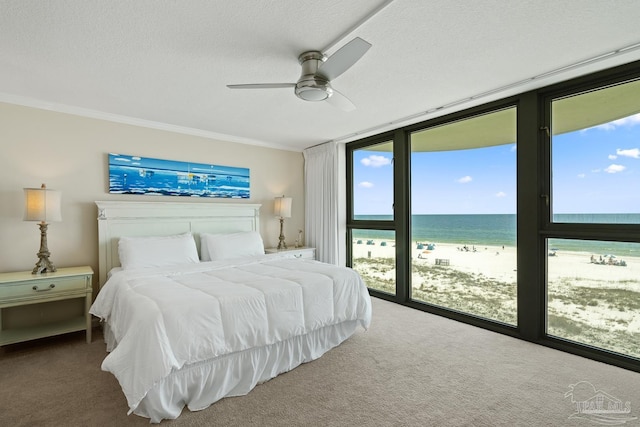 carpeted bedroom with expansive windows, crown molding, a water view, and a view of the beach