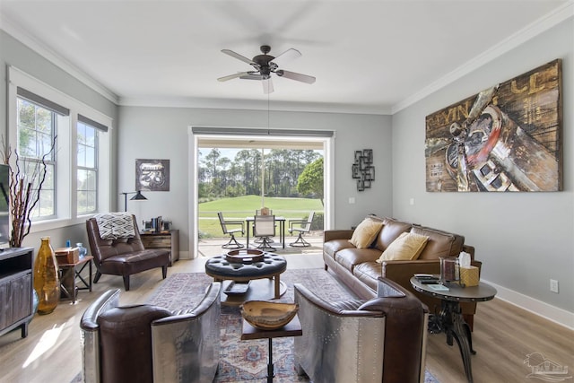 living area featuring crown molding, a wealth of natural light, and wood finished floors