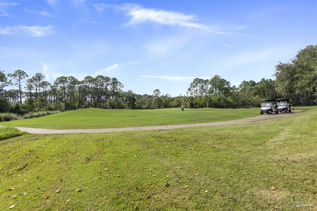 view of community with a lawn