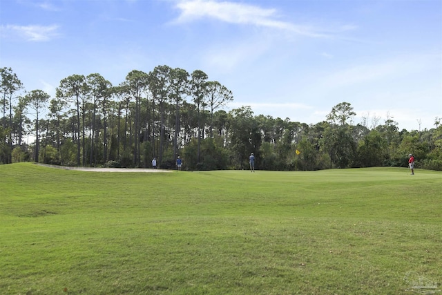 view of home's community featuring a yard