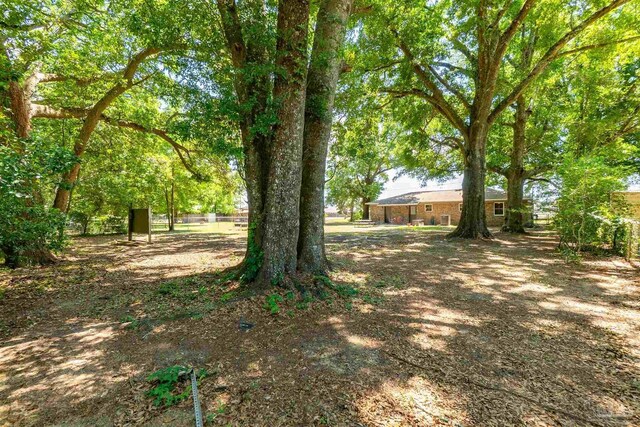 5518 Cyanamid Rd, Milton, FL 32583 - view of yard